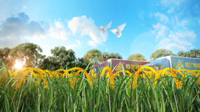 司爾特化肥演示3維動(dòng)畫(huà)宣傳片_北京凱瑪-宣傳片拍攝制作公司-專業(yè)宣傳片拍攝,企業(yè)宣傳片,宣傳片制作